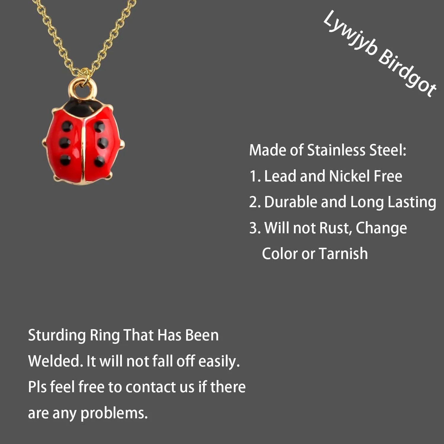 Lywjyb Birdgot Ladybug Necklace Cute Ladybug Gift Ladybird Pendant Good Luck Ladybug Gift for Women