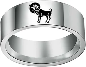 PAMTIER 8mm Men's Stainless Steel 12 Constellations Ring Zodiac Sign Astrology Statement Band Jewelry Simple Silver