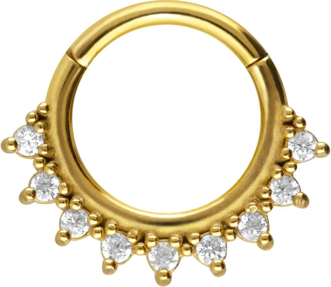PIERCINGLINE Surgical Steel Segment Ring Clicker with 9 crystals hoop septum jewelry, nose ring, ear piercing in 4 colors